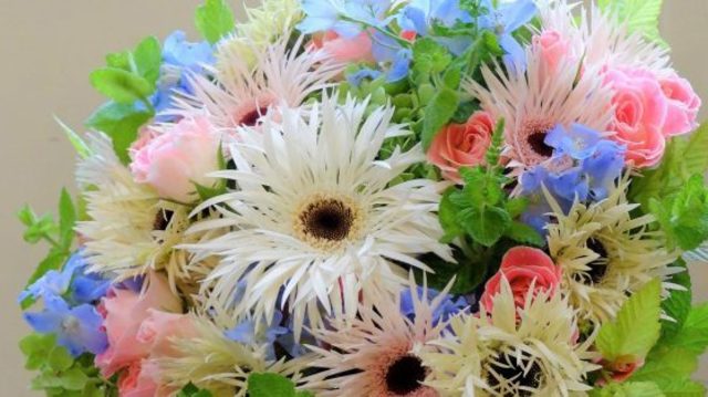 入手困難な面白いガーベラを束ねた新春にふさわしい贈り花 Antenna アンテナ