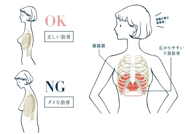 肋骨を正しい位置に戻し 美バストに エクササイズその1 Ananweb マガジンハウス Antenna アンテナ