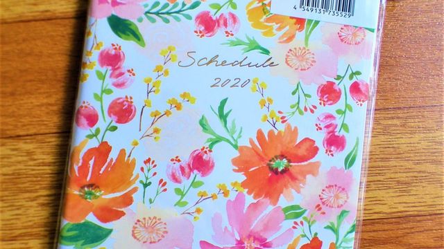 ダイソー 10月始まり21年パンダのスケジュール手帳 Antenna アンテナ