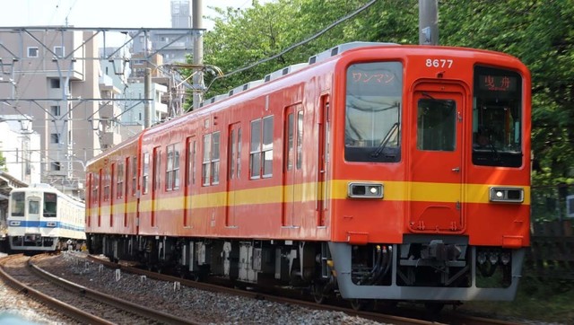 9381335 full 17f3ef23 03b0 49d3 8064 ee6910c54801