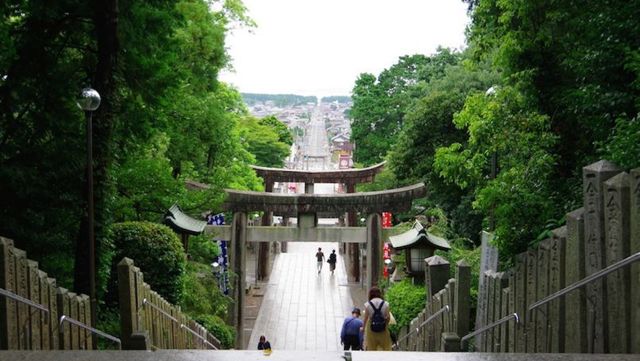 福岡で見つけた絶景「光の道」と癒しの猫島「相島」【もろんのんの旅 