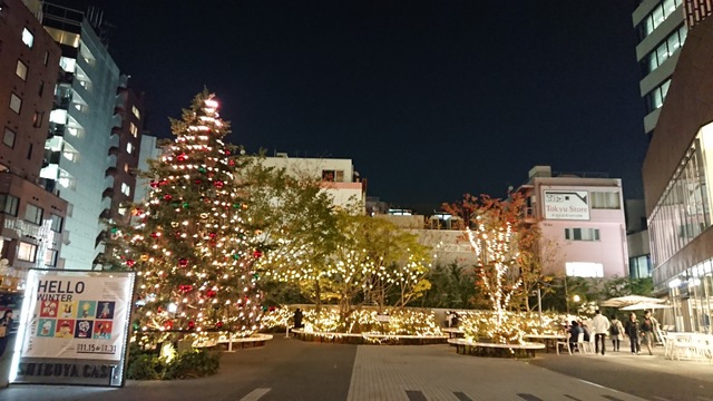 恋人 夫婦でどう過ごす クリスマスデートスポットランキング Antenna アンテナ