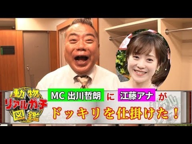 出川哲朗に動物ドッキリ 仕掛け人は江藤アナ Tbs Antenna アンテナ
