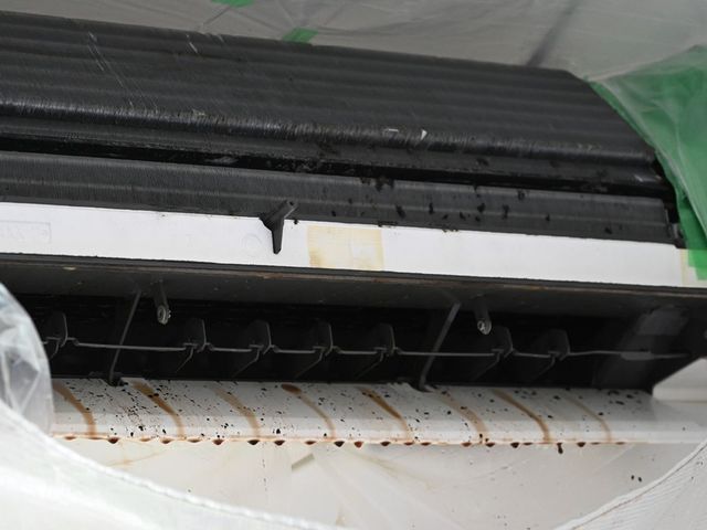 9569459 full ec79e870 68ef 4172 8769 4e9e69476eb6