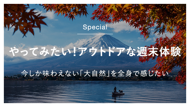 9571231 full 68e028b9 0e0b 4386 bd89 594c999cfb28