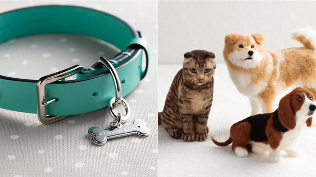 メロンパンをかぶった犬が増加中 食べちゃいたいほどかわいいペットたち Antenna アンテナ