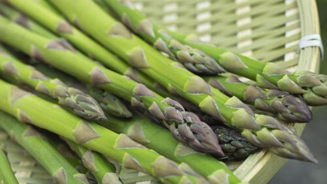 アスパラガスは増やせる野菜 上手な育て方と株分けの方法 Antenna アンテナ