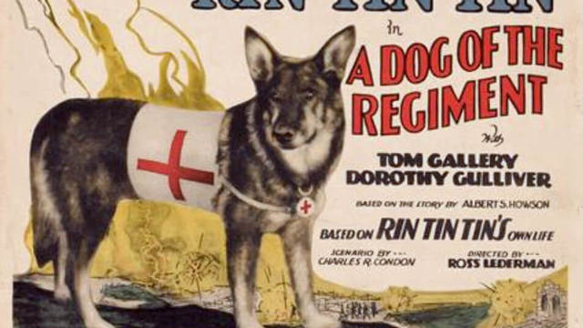 犬の日記念 フルハウス 名犬ラッシー モダン ファミリー Tvで最も有名なワンちゃん Antenna アンテナ