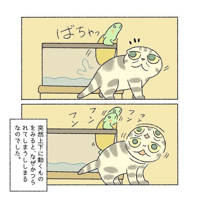 太郎なのに女の子？ 一緒に暮らすししまるの姉「かめたろう」とししま 