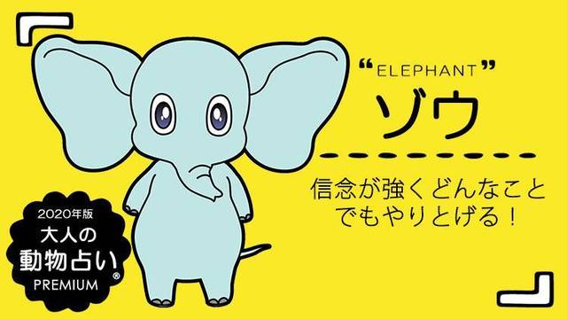 年版 子守熊 コアラ 大人の動物占い 動物キャラ 子守熊 コアラ の基本性格 年の運勢は Antenna アンテナ