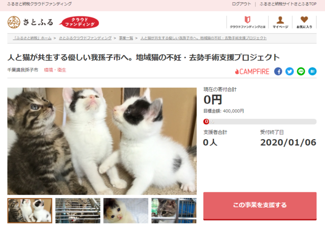 9660885 full 4c9769c9 ae18 458b aeaf a69153db4e1d