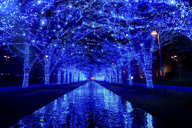 今年のクリスマス どこ行く 聖夜を彩る都内イルミネーションtop10 Antenna アンテナ