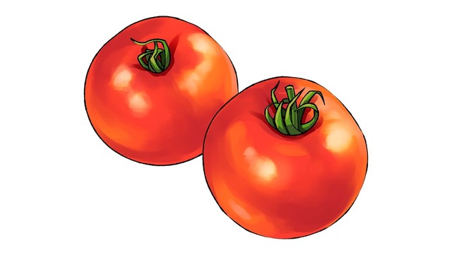 トマトの種類］ミニトマト編！栄養や簡単レシピも紹介 | antenna 