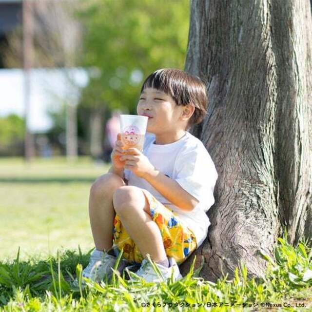 呼吸チョコ 楽天市場】【まるしげ公式】 まるこ様、専用商品 アソートBOX Mサイズ Sサイズ その他