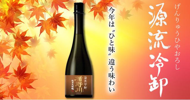 秋に旬を迎える日本酒「ひやおろし」が今年も登場！楯野川 純米大吟醸 源流冷卸（げんりゅうひやおろし）8月26日より販売開始 |  antenna*[アンテナ]