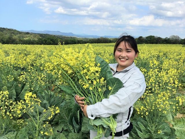 年間約25万本の苗を育てる 育種 育苗のエキスパート 種と苗から農薬 化学肥料不使用のこだわりのケールづくりとは Antenna アンテナ