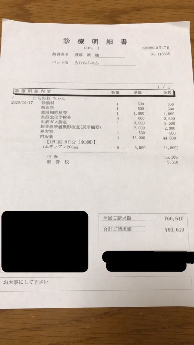 保護猫らむねを助けてください Antenna アンテナ