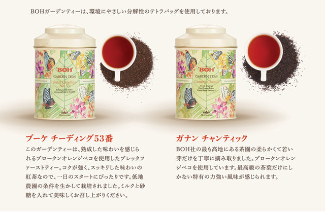 ハラル認証取得】マレーシアの誇る、世界中で愛飲されている紅茶「BOH TEA」！オンラインショップ『rocoya』で取扱い開始いたします！ |  antenna*[アンテナ]