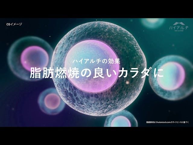 ハイアルチ 春日スタジオ 8 21 土 プレオープン 標高2 500mの空間で 細胞からきたえる 日本初の高地トレーニング専門スタジオ Antenna アンテナ