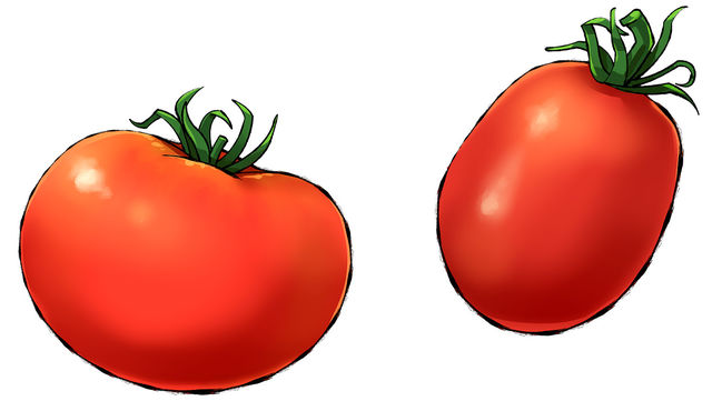 元は観賞用だった トマトなどおいしくなった野菜を紹介 Antenna アンテナ