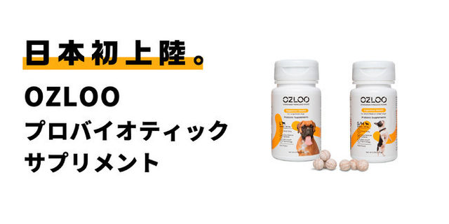 こだわりの菌と独自製法で愛犬の 腸活 を実感 犬用整腸剤 Ozlooプロバイオティックサプリメント を日本で初めて発売開始 Antenna アンテナ