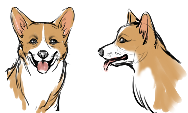 かわいいバーチャルペットで寂しさや辛さを癒したい Cgデザイナーのわんこ開発秘話 Antenna アンテナ