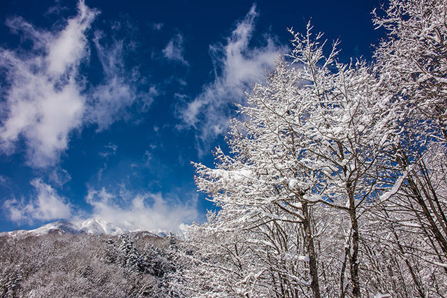 八ヶ岳 清里 小淵沢の四季と気候 服装を知っておこう Antenna アンテナ