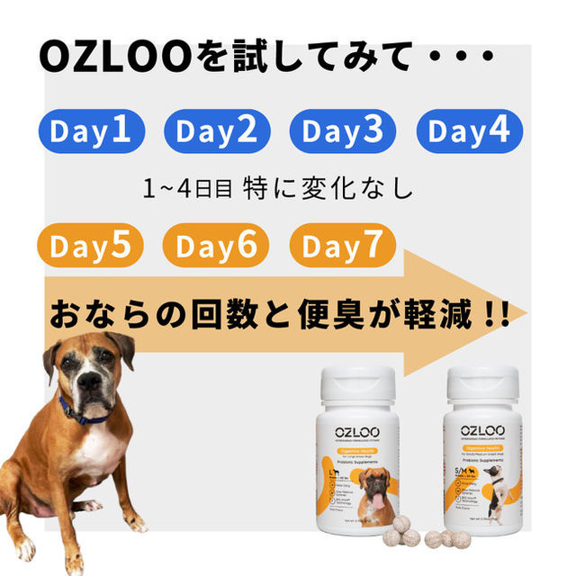 こだわりの菌と独自製法で愛犬の 腸活 を実感 犬用整腸剤 Ozlooプロバイオティックサプリメント を日本で初めて発売開始 Antenna アンテナ