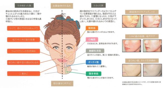 男だって若々しく小顔になりたい 大阪心斎橋に男性専用小顔 美肌サロンを作りたい Antenna アンテナ