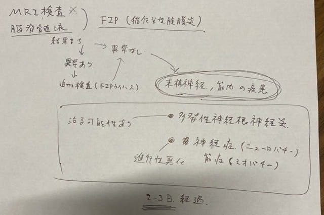 多発性神経根炎になった猫シフォンの検査・治療のために支援をお願いし 