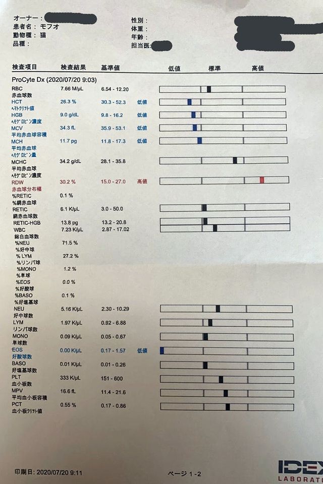 Fip 猫伝染性腹膜炎 の投薬治療にどうか皆様の力をお貸し下さい Antenna アンテナ