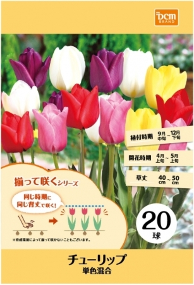 full cb5130a8 d00c 4492 84a0 713074a222f1