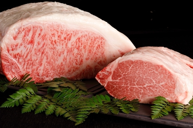 full cf7b6b82 9566 4613 89a9 0436105e270b