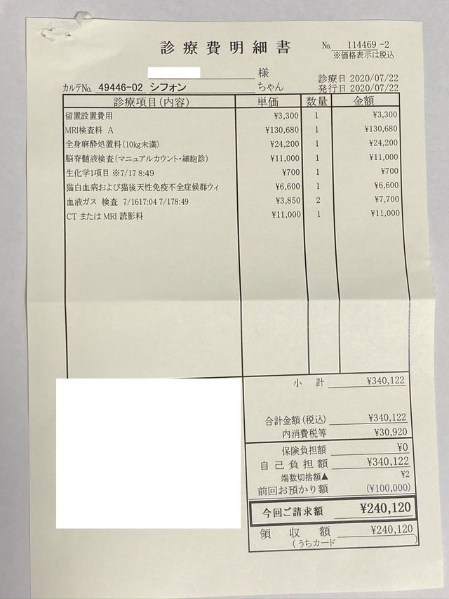 多発性神経根炎になった猫シフォンの検査・治療のために支援をお願いし