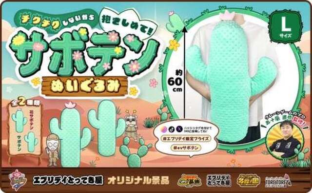 トゲトゲしない、抱きしめたいサボテン！ビッグサイズの「サボテン
