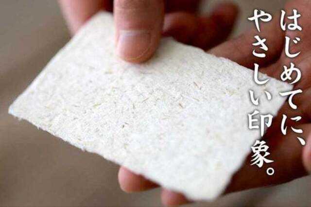 数年ぶり復活】高知で育つ特別な虎竹から生まれた「虎竹和紙名刺」100
