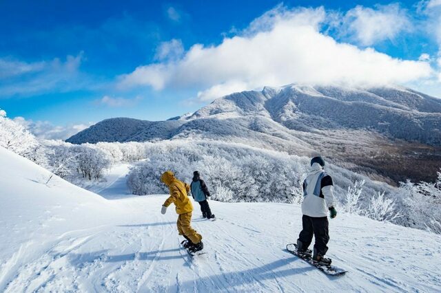日本直営グランデコ、アルツ磐梯、猫魔などペアリフト券 スキー場