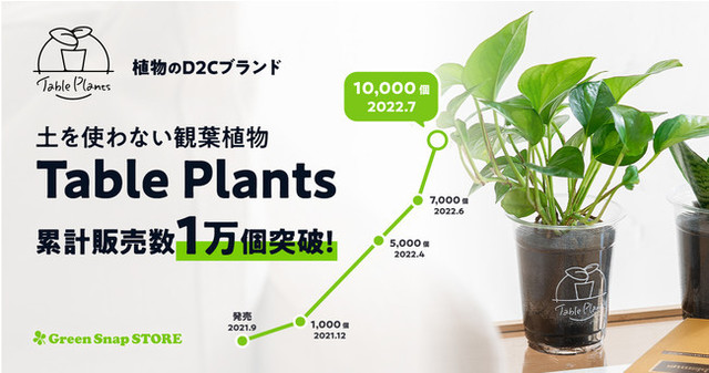 植物のd2cブランド 土を使わない観葉植物 Table Plants が累計販売数1万個を突破 Antenna アンテナ