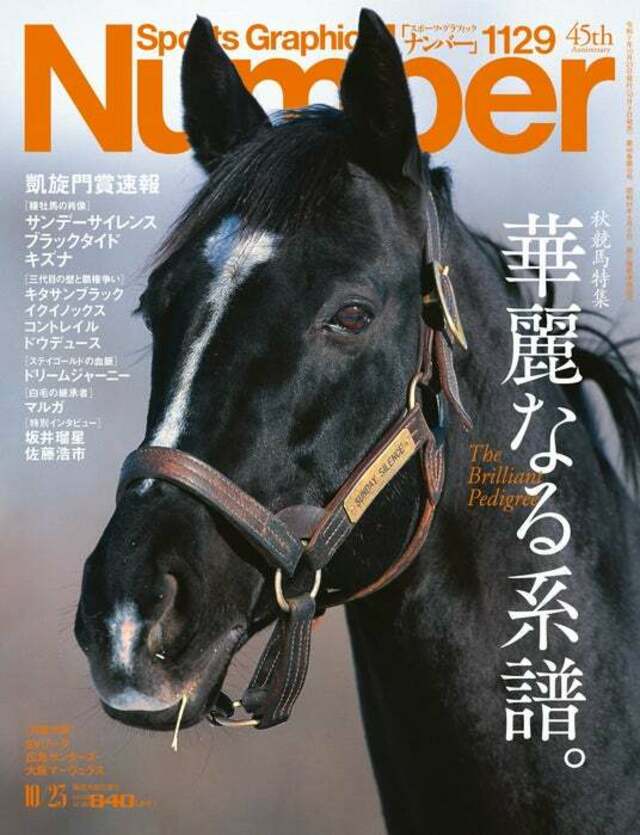 【スポーツ紙企画当選品】キタサンブラック 天皇賞春 レースパネル 51RSmUpV0ZL._AC_UL210_SR210,