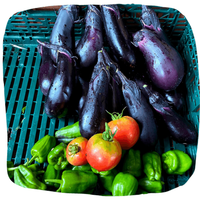 石川 能登 限界集落シェアハウス ほくほく邸 の自給自足野菜作りを強化したい Antenna アンテナ 石川 能登 限界集落シェアハウス ほくほく邸 の自給自足野菜作りを強化したい Antenna アンテナ