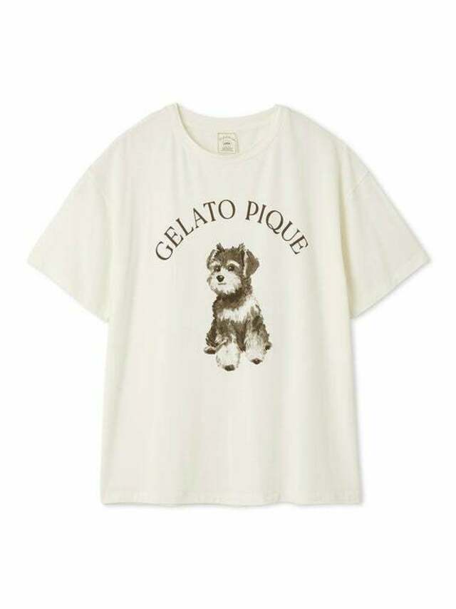【池袋パルコオープン記念】ジェラートピケ 柴犬柄ワンピース（グレー） gelato pique(ジェラート ピケ)】横浜高島屋に新店舗オープン